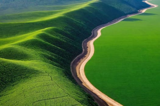 Green meadow and mountains on the horizon.