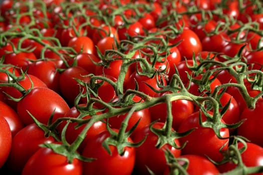 Pile of small tomatoes with green stems, closeup detail
