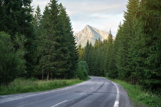 Empty mountain road, coniferous trees on both sides, evening sun shines on mount Krivan peak (Slovak symbol) in distance
