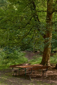 Idyllic picnic area at Urach waterfall cascade “Uracher Wasserfall“ under a maple tree (Acer) with colorful foliage in autumn season. Beer tent set covered with fallen leaves in natural reserve forest