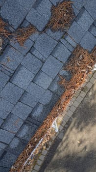 Drone view of residential rain gutter eavestrough filled with pine needles and tree debris. High quality photo