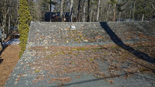 Old Roof needs repair with damaged asphalt roofing shingles covered in tree debris, needles, moss