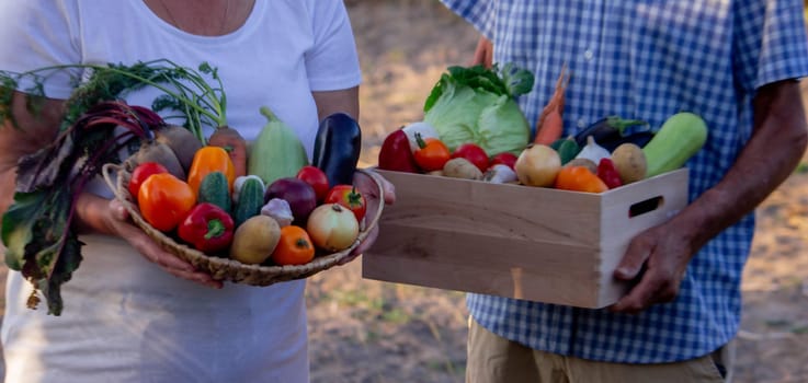 Portrait of two cheerful farmers stand together with boxes full of freshly picked vegetables at local farmland. Concept of organic food and sustanable lifestyle