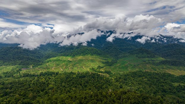 Aerial view of mountains and green hills in Borneo. Slopes of mountains with evergreen vegetation. Malaysia.