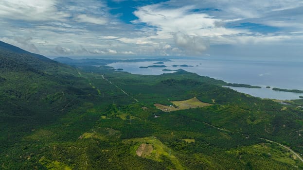 The coast of the island of Borneo with palm oil plantations and jungle. Malaysia.