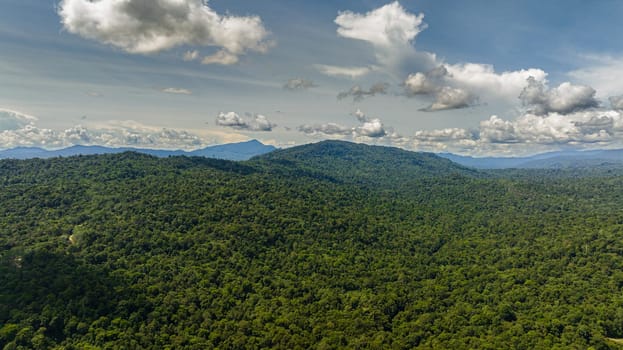 Tropical mountain range and mountain slopes with rainforest. Borneo, Malaysia.