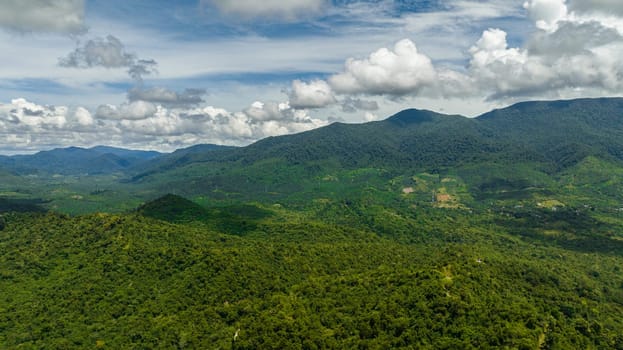 Aerial view of jungle and mountains in Borneo. Mountain slopes with tropical vegetation. Malaysia.