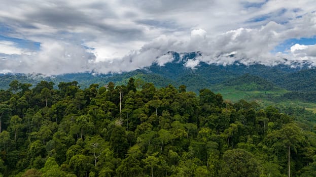 Aerial view of mountains and green hills in Borneo. Slopes of mountains with evergreen vegetation. Malaysia.