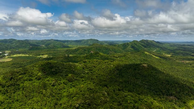 Rainforest and jungle. Tropical landscape. Borneo, Sabah, Malaysia.