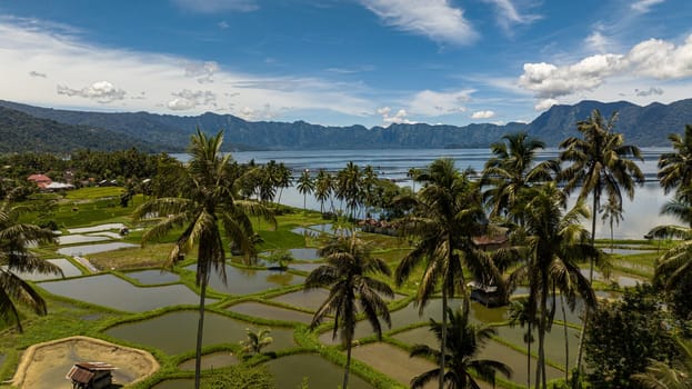 Aerial drone of rice fields and farmland in the highlands next to the lake Maninjau. Sumatra, Indonesia.