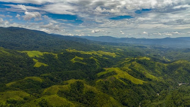 Mountain peaks covered with forest from above. Sumatra, Indonesia.