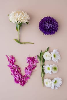 Creative minimalistic design of flowers petals and leafs making word text LOVE on beige background. Romantic pastel flowers. Modern aesthetic. Top view flat lay