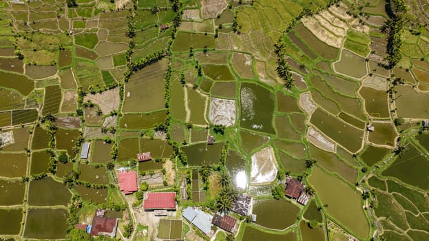 Aerial drone of rice terraces and agricultural land in the tropics. Sumatra. Indonesia.