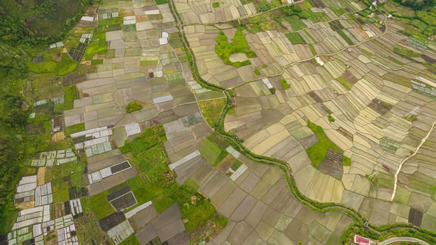 Aerial view of farmland in the countryside. Agricultural landscape in Sumatra. Berastagi, Indonesia.