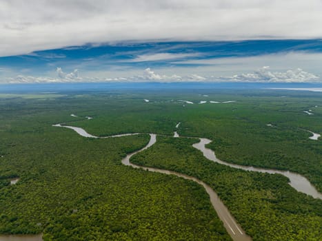 Top view of mangrove forests and jungles in wetlands. Menumbok forest reserve. Borneo, Sabah, Malaysia.