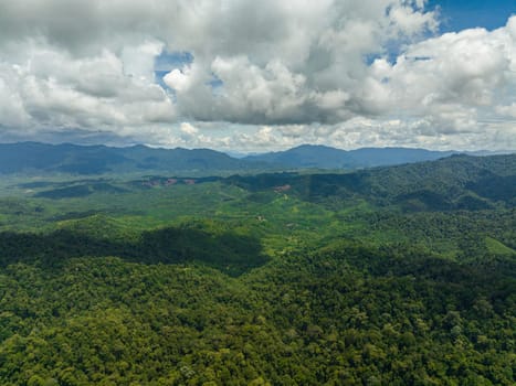 Mountain slopes covered with rainforest and jungle. View of the valley in the mountain province. Borneo, Malaysia.