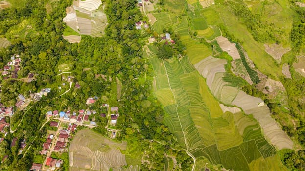 Rice fields and agricultural land in the tropics. Sumatra. Indonesia.