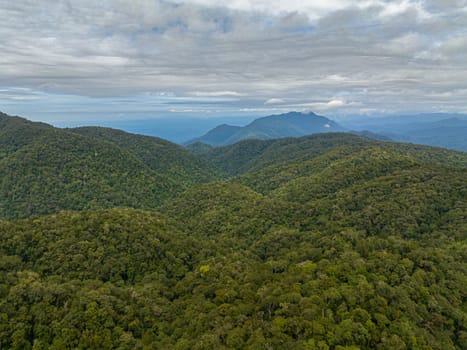 Slopes of mountains with evergreen vegetation. Tropical landscape. Sumatra, Indonesia.