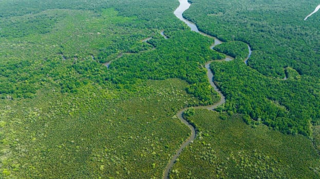 Aerial view of tropical landscape with mangrove forest and river. Borneo. Malaysia.