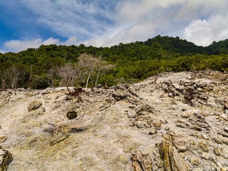 Consequences of a volcanic eruption with scorched earth and dead trees. Weh Island. Indonesia.