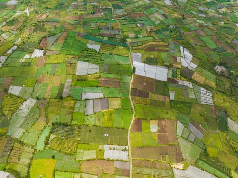 Aerial view of tea estates and farmland in Sumatra. Kayu Aro, Indonesia.