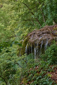 Tranquil Summit Panorama: Majestic Waterfall View amidst Black Forest Scenery in Germany. Riverside Cabin Retreat: Tranquil Hideaway in Germany's Scwarzwald amid Lush Greenery. Mountain River Serenity: Tranquil Escape amidst Scenic Black Forest Landscape in Germany