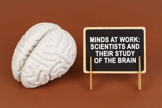 On a brown background, a model of the brain and a sign with the inscription - Minds at work Scientists and their study of the brain. Science and healthcare concept.