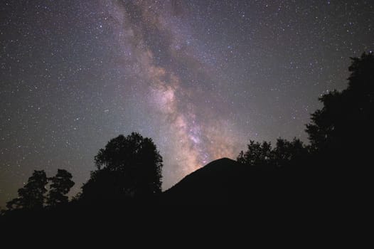 Low angle view of a silhouetted forest with the Milky Way in the background at night.
