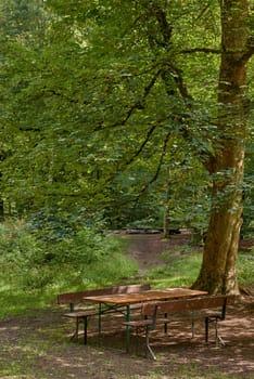 Picnic table on a green meadow with trees on background. Picnic area with picnic table on a green meadow. scenic view of wooden picnic tables amidst trees. Tranquil scene of picnic area.