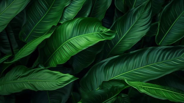 Lush green leaves with intricate patterns, full frame, vibrant. High quality photo