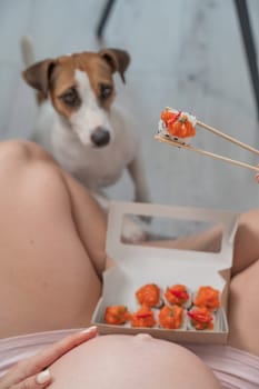 A pregnant woman sits on the sofa and eats rolls. Jack Russell Terrier dog sits on the floor and begs for food from its owner