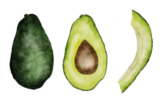 Avocado watercolor illustration set. Illustration of whole fruit, parts and halves on isolated background. Tropical realistic drawing. Green ripe vegetable for food packaging and textile design for kitchen and dining room. High quality photo. High quality illustration