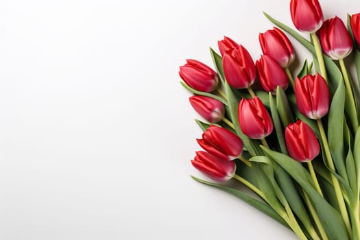 Bouquet of beautiful red tulips on a white background with space for text. Mother's Day, March 8, birthday.
