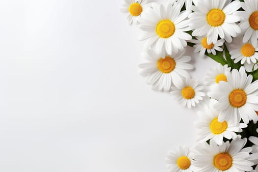 Horizontal white background with a bouquet of white daisies on the right and space for text.