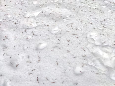 Close-Up View of White snow Texture With Small needles. Abstract background, texture, pattern, copy space, place for text