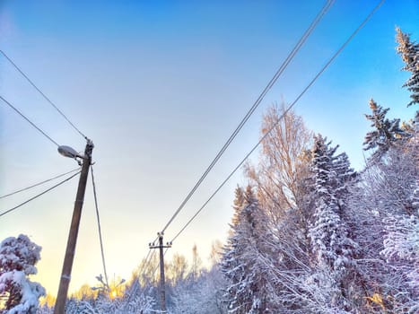 Snow-covered pole and wires and branches of trees covered with snow against the blue sky. Dangerous frozen electrical wires in the city. Frosty morning