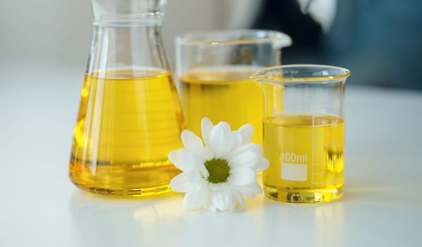 Chemical flasks with yellow cosmetic oil standing near white chamomile flower closeup. Production of herbal medicines concept