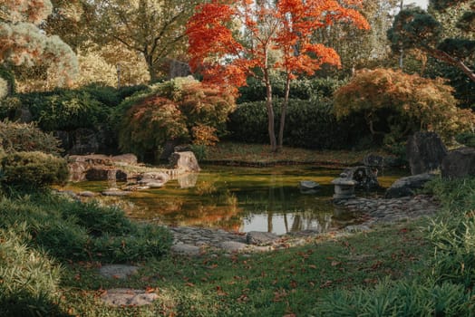 Beautiful Japanese Garden and red trees at autumn seson. A burst of fall color with pond reflections.