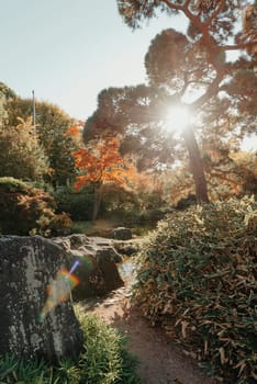 Beautiful Japanese Garden and red trees at autumn seson. A burst of fall color with pond reflections.