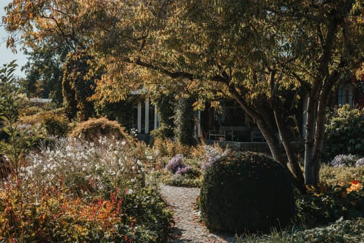 Panorama of Forest green landscape with white flowers and path. Art flowers in the morning in an Summer park. landscaped park with a garden bed and different trees and bushes on a turf lawn, evergreen and seasonal plants in the backyard on overcast weather.