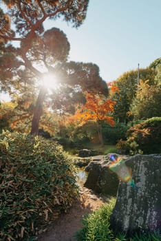 Beautiful Japanese Garden and red trees at autumn seson. A burst of fall color with pond reflections.