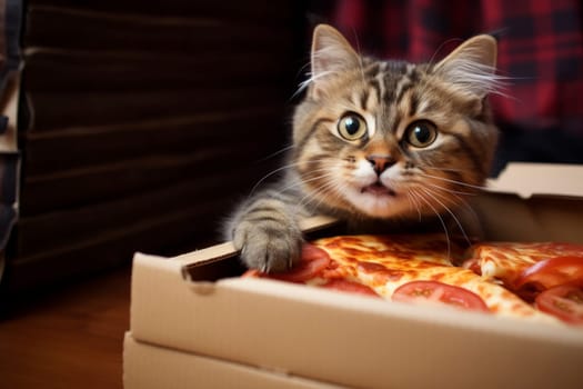 Adorable tabby cat caught on camera eyeing a slice of pizza in a box, conveying a sense of curiosity and temptation.