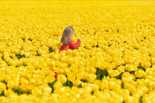 Happy girl running in a yellow tulip field