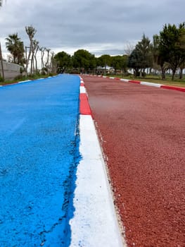 Blue bike path and red running path run side by side through a public park