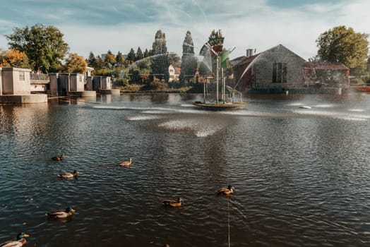 Ducks on the lake in the park. Park in the fall. Autumn trees. Wild ducks are reflected in the lake. Multi-colored bird feathers. A pond with wild ducks and drakes. A duck lake full of beautiful ducks swimming for them in city park.