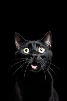 Black surprised cat with large, captivating eyes on black background. Ideal for promotions, great deals or offers. Good price, Black Friday, discount. Copy space for text. Amazed pet. Generative AI