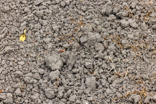 Infertile dry chunks of soil due to drought and heat in summer, Germany in climate change