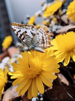 Butterfly on the colorful flowers and plants. Calm nature scene with dreamy colors. Generated AI