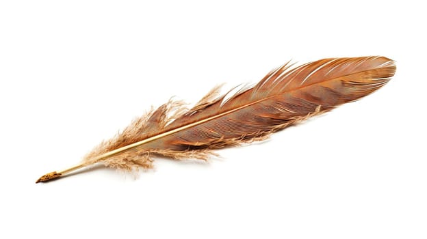 Bird feather on white background. Beautiful bird plumage or wing element, isolated smooth feather. Generated AI