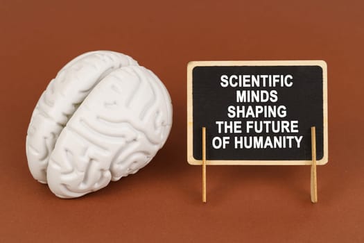 On a brown background, a model of the brain and a sign with the inscription - Scientific minds shaping the future of humanity. Science and education concept.